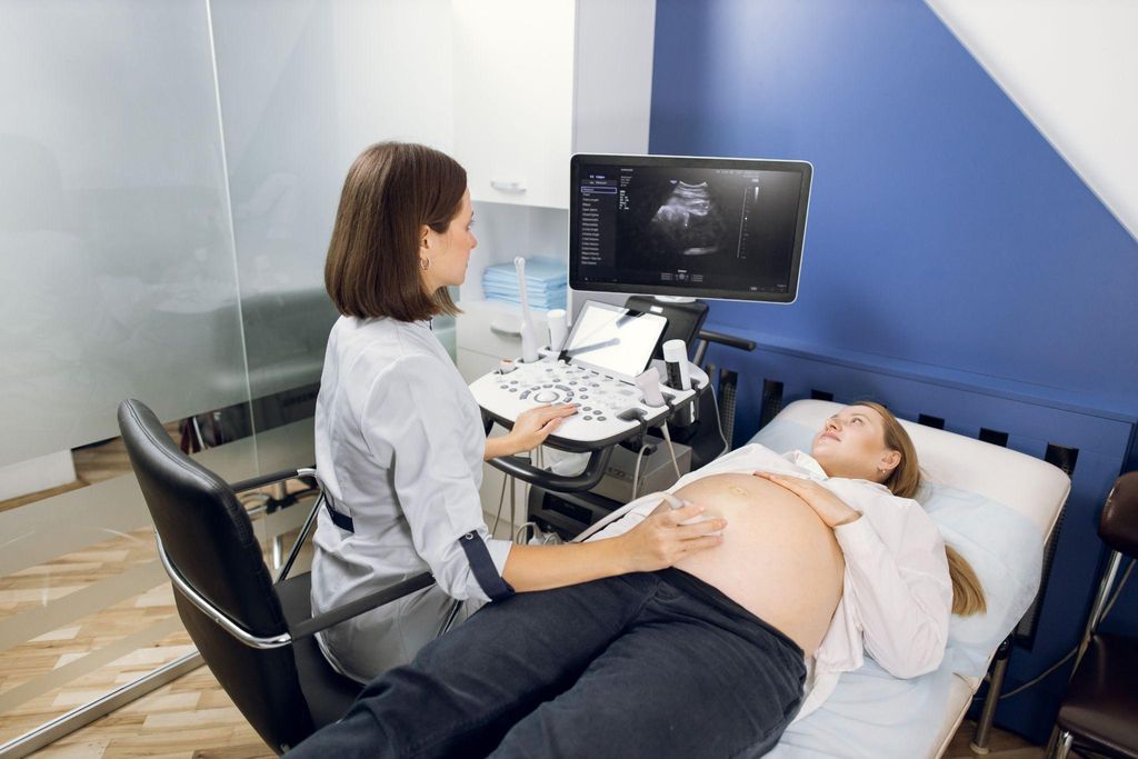 Pregnant woman in a discussion with her midwife during an antenatal appointment.