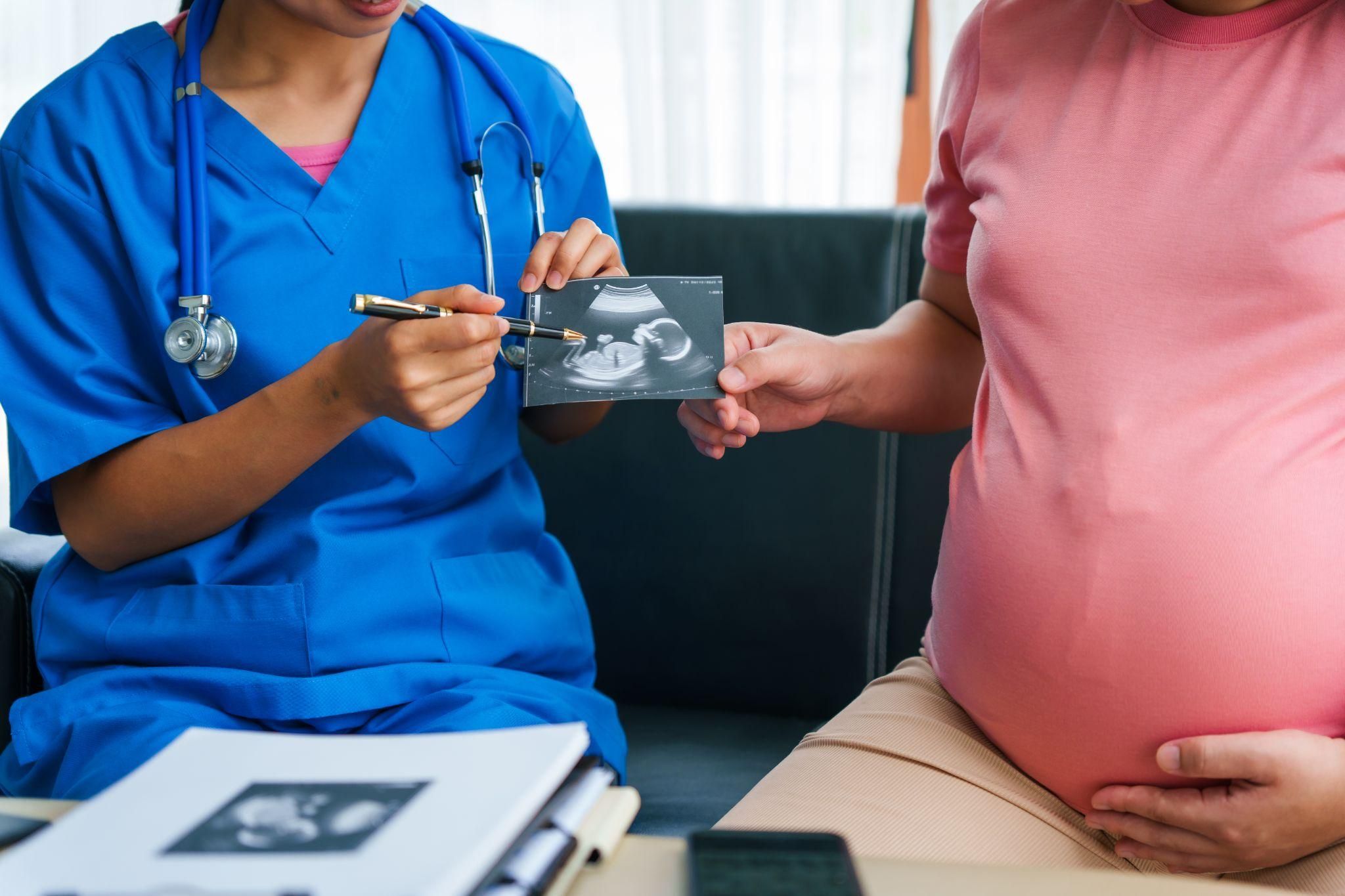 A mum-to-be discussing her antenatal care plan with her midwife.