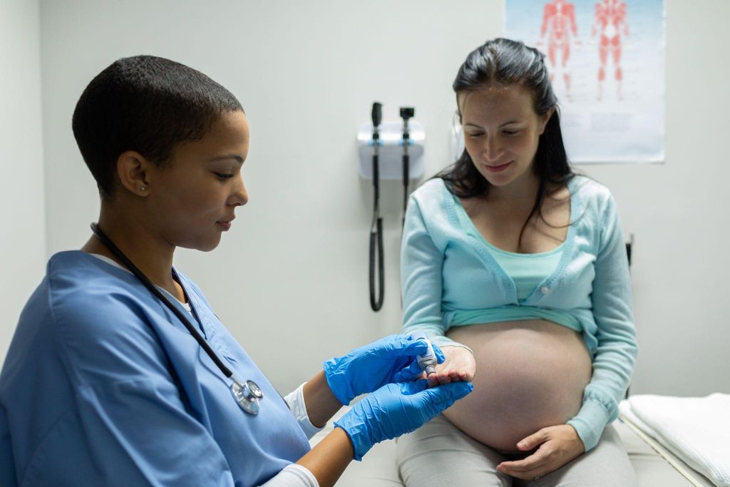 Pregnant woman discussing her antenatal care plan with a midwife.