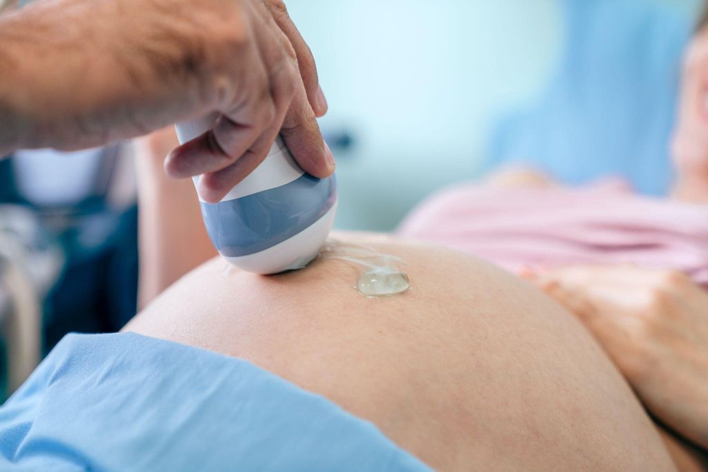 Pregnant woman discussing her antenatal care plan with her doctor.