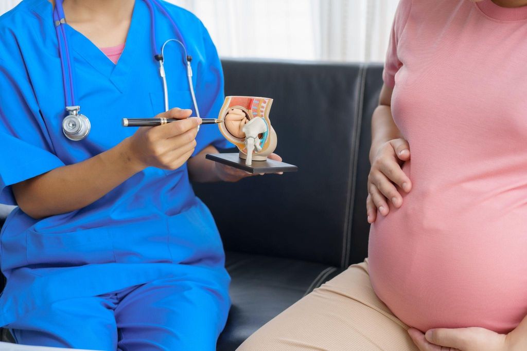 Midwife explains the physiology of pregnancy, labour and birth to a pregnant woman using a model of a uterus in pregnancy during an antenatal care appointment.