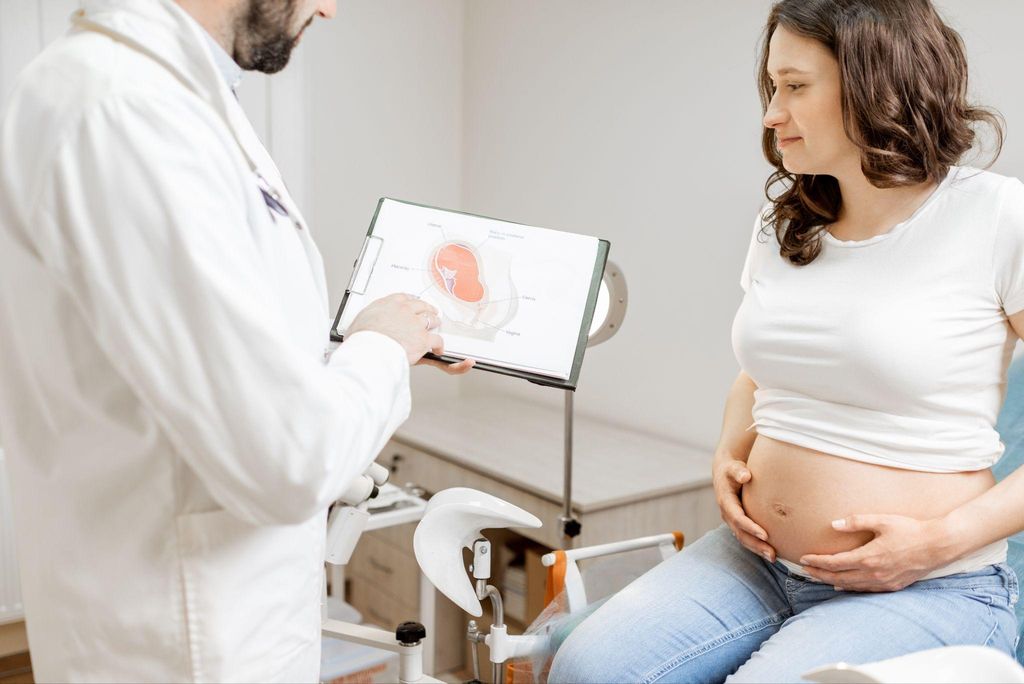 A serene pregnant woman discusses an antenatal health plan with her doctor during an antenatal appointment.